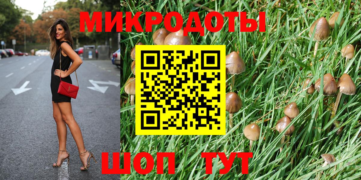 Заволжье  Галлюциногенные грибы ЛСД  Галлюциногенные грибы MAGIC MUSHROOMS  Вход с VPN 